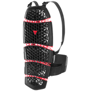 Dainese Rückenprotektor Pro-Armor Back Short 2.0 - Höhe <174cm/68.5in | 20187620900100