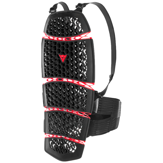 Dainese Rückenprotektor Pro-Armor Back Short 2.0 - Höhe <174cm/68.5in | 20187620900100