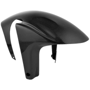 Vorderer Kotflügel Carbon LighTech Aprilia RSV4/1100 Factory/R/RR/RF (09-20) CARA3010