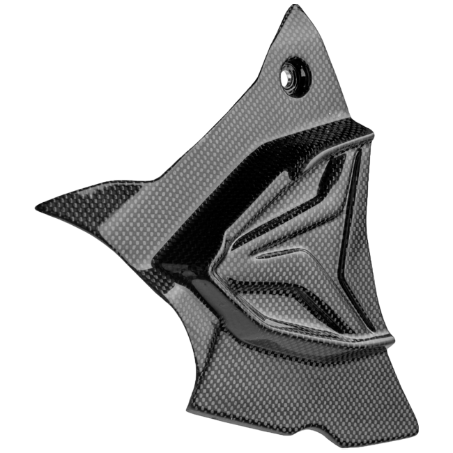 Ritzelabdeckung Carbon LighTech BMW S1000RR K67 (19-26) CARB1945