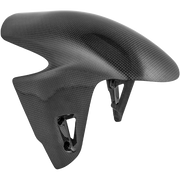 Vorderer Kotflügel Carbon LighTech Ducati Panigale V4/S/R (18-24) CARD0810