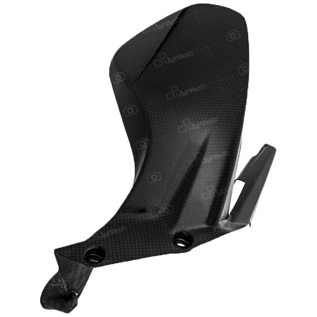 Hinterer Kotflügel Carbon LighTech Ducati Panigale V4/S/R (18-24) CARD0820