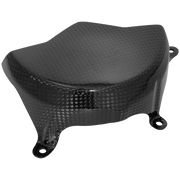 Lichtmaschinenabdeckung Carbon LighTech Ducati Panigale V4/S (25-26) CARD0840