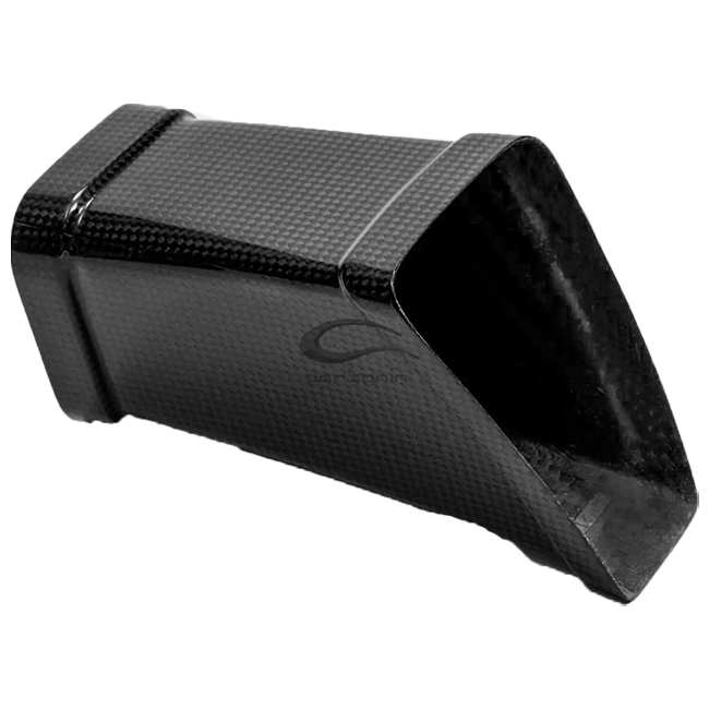 Luftkanal Carbon Carbonin BMW S1000RR K67 (19-22) CB4066