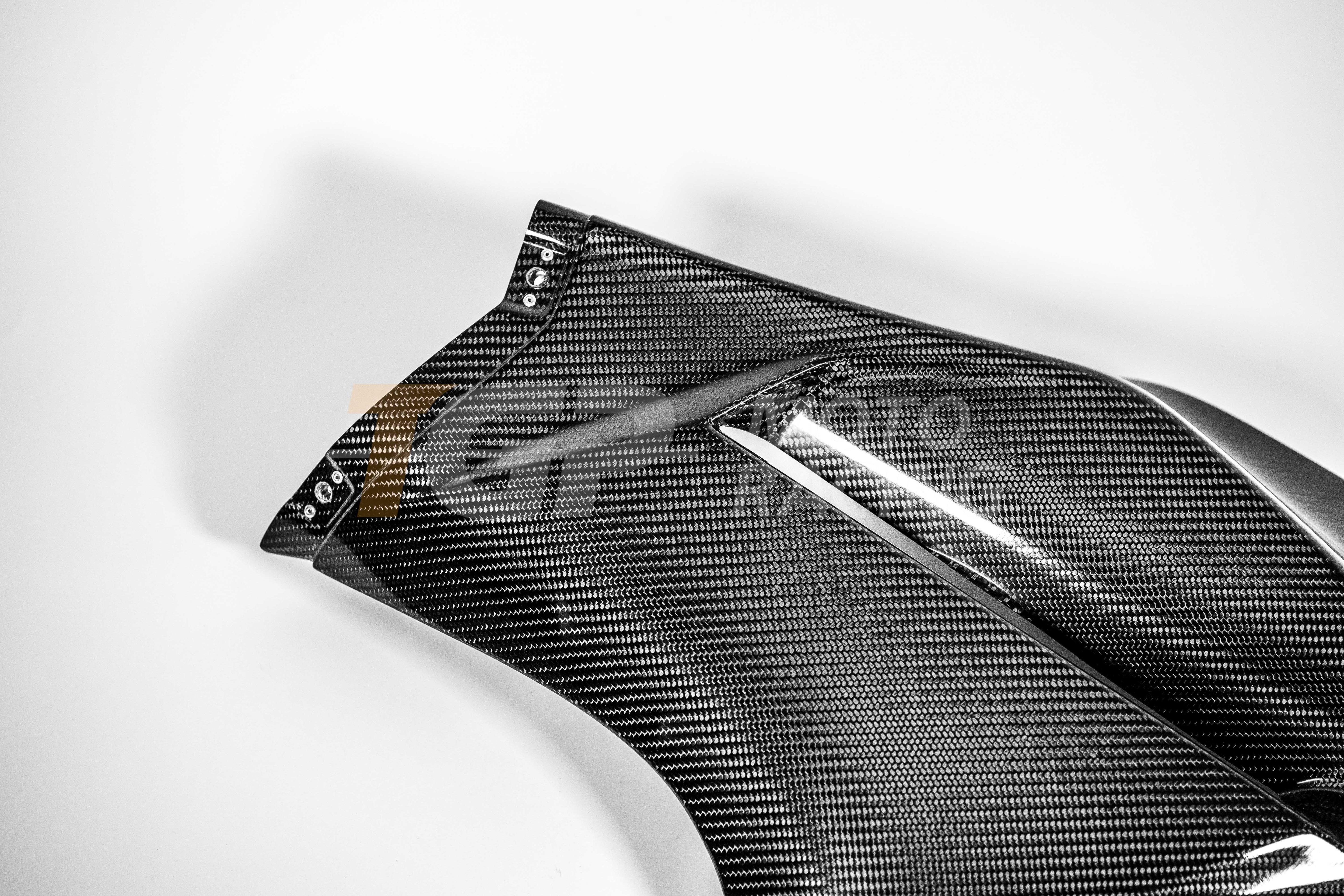 Linkes Seitenteil 200g Carbon AP Carbon Line Ducati Panigale V4 R (2026)