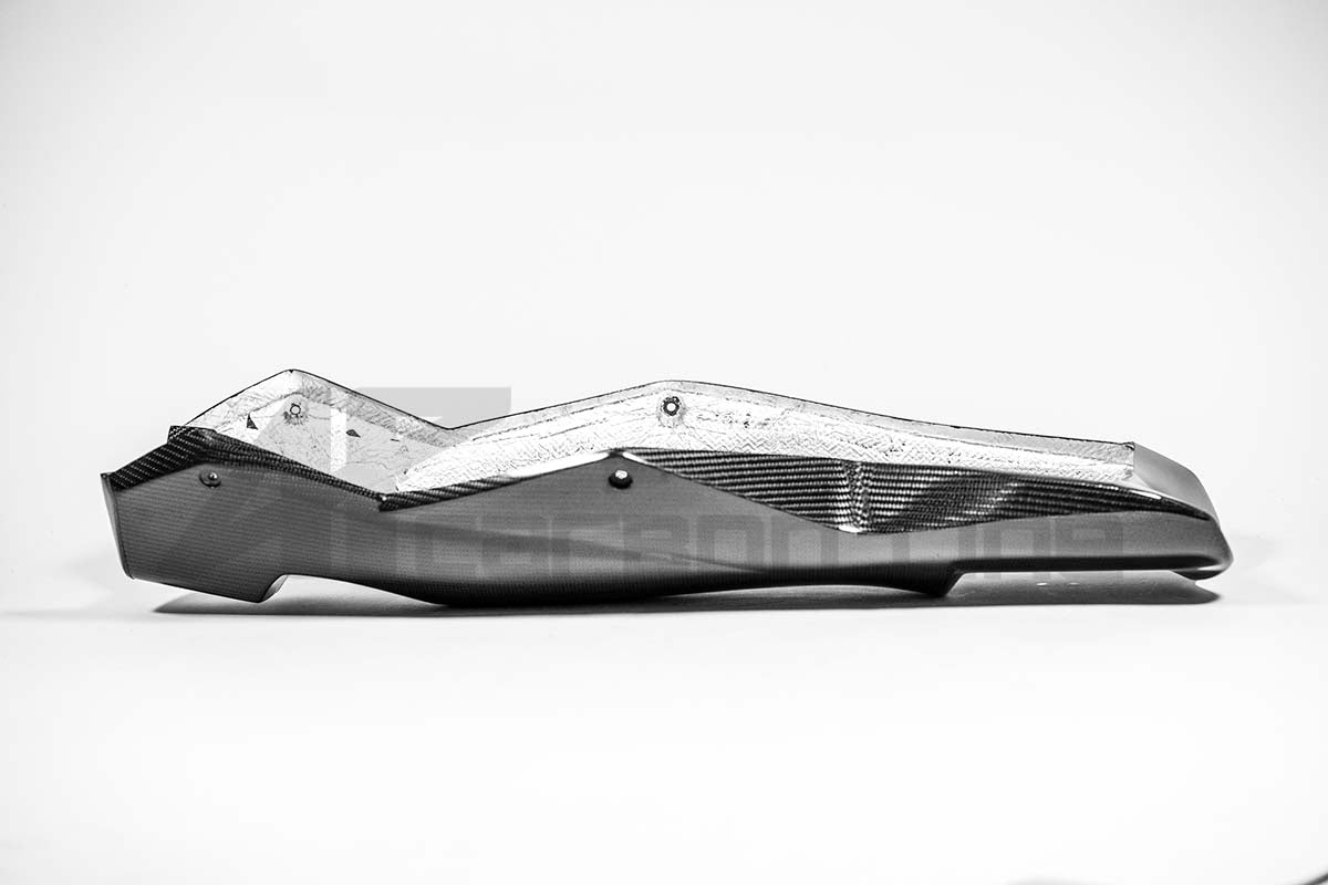 Bugspoiler 200g AP Carbon Line Aprilia RSV4/RR/1100 Factory (21-26)