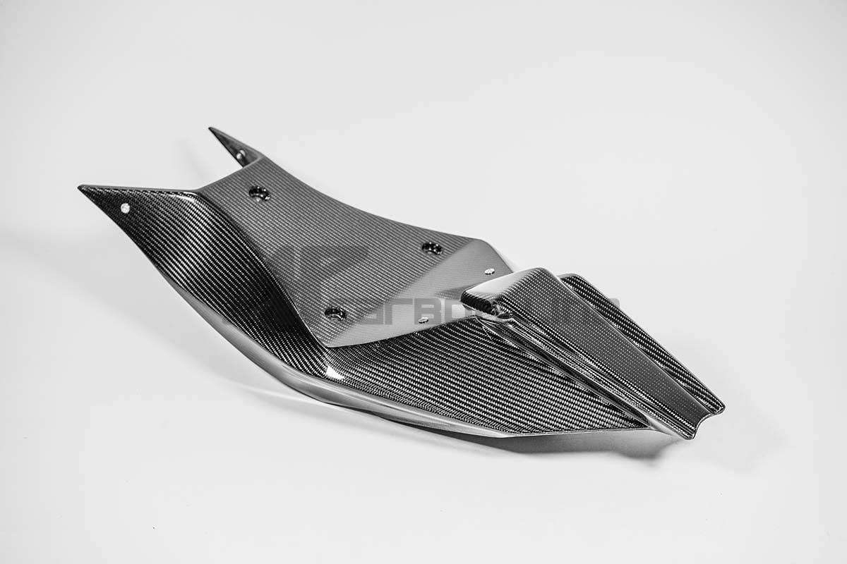 Heckverkleidung 200g AP Carbon Line Aprilia RSV4/RR/1100 Factory (21-25)