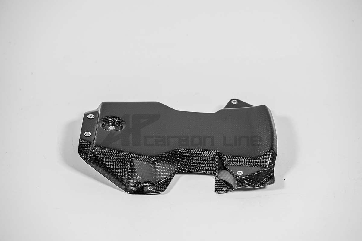 Heckverkleidung 200g AP Carbon Line Aprilia RSV4/RR/1100 Factory (21-25)