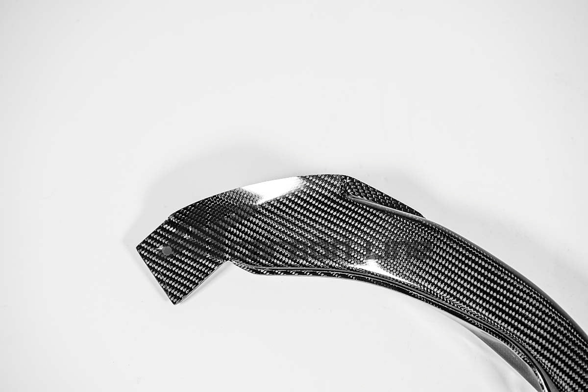 Luftkanäle 200g AP Carbon Line Aprilia RSV4/RR/1100 Factory (21-25)