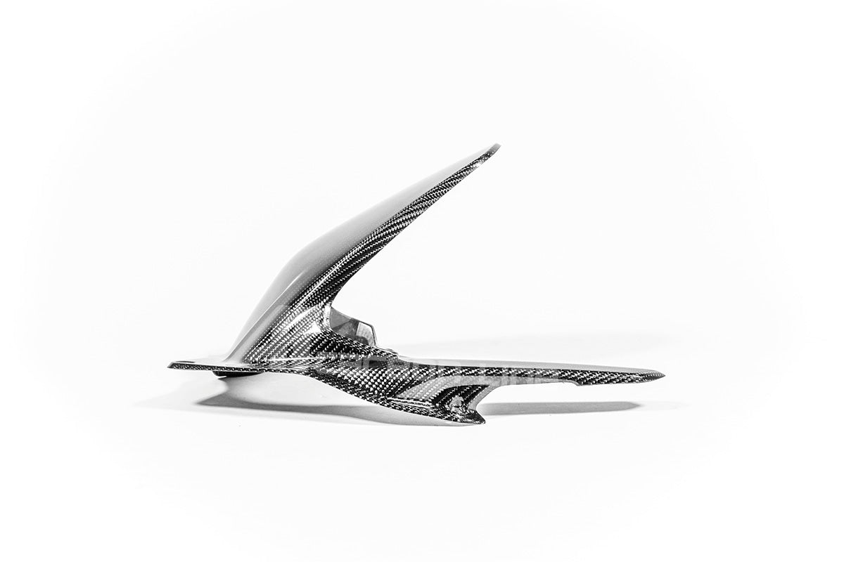 Hinterer Kotflügel 200g AP Carbon Line Ducati Panigale V4/S/R (25-26)