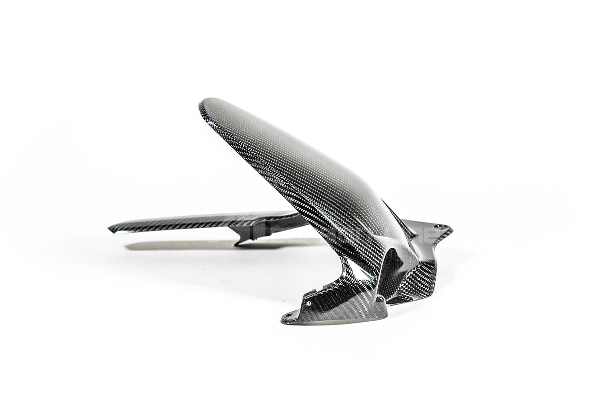 Hinterer Kotflügel 200g AP Carbon Line Ducati Panigale V4/S/R (25-26)