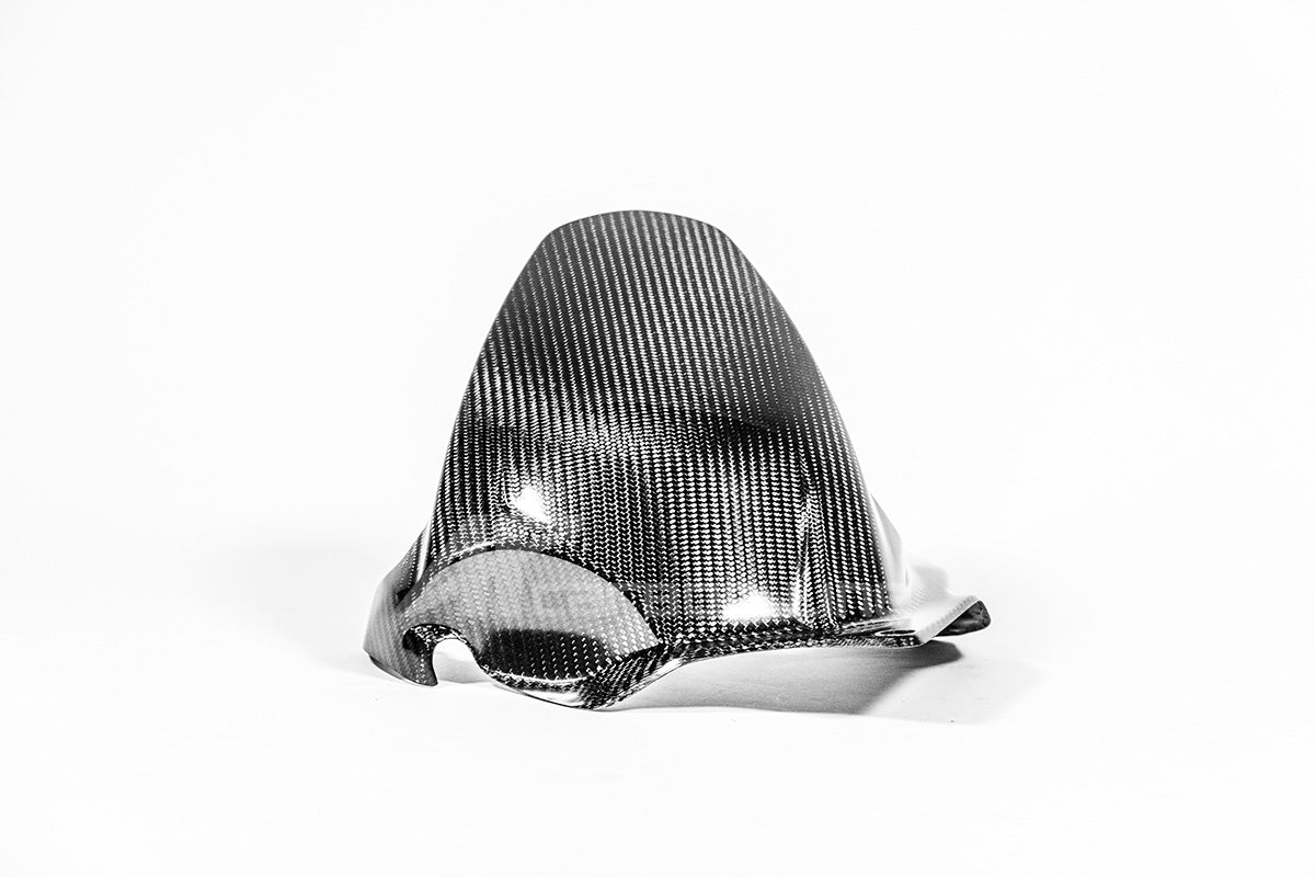 Hinterer Kotflügel 200g AP Carbon Line Ducati Panigale V4/S/R (25-26)