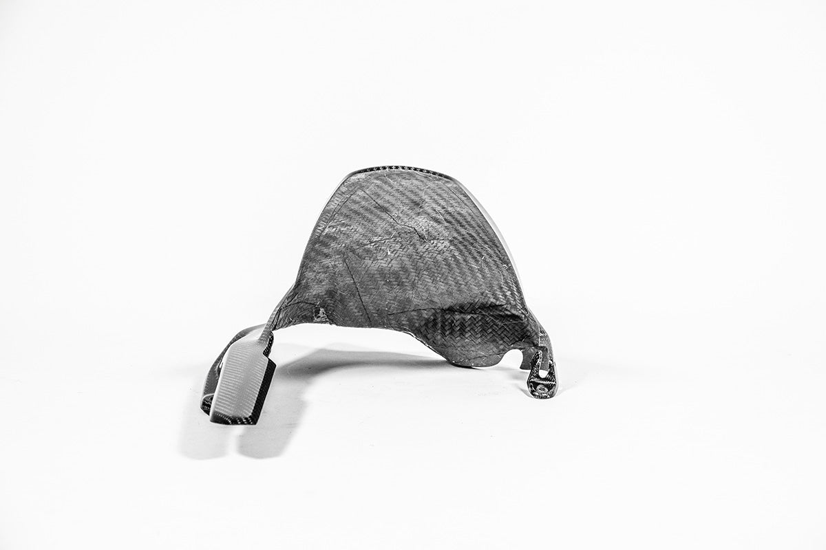 Hinterer Kotflügel 200g AP Carbon Line Ducati Panigale V4/S/R (25-26)