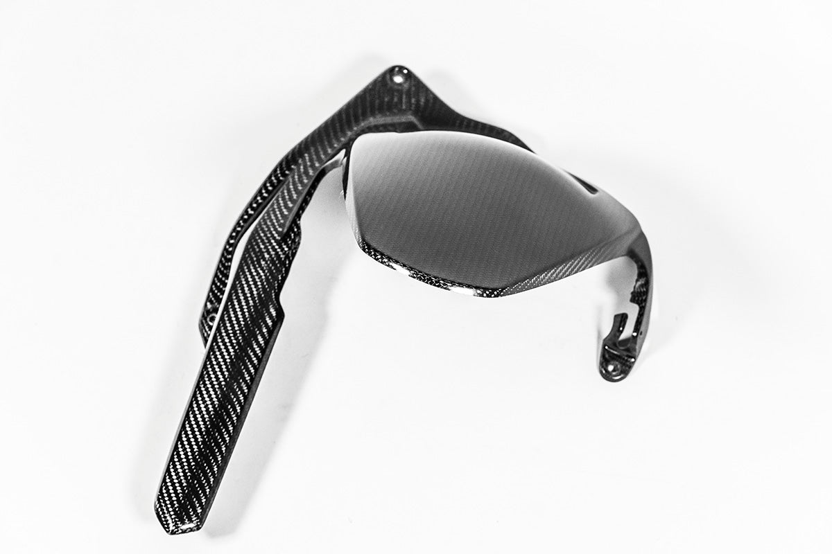 Hinterer Kotflügel 200g AP Carbon Line Ducati Panigale V4/S/R (25-26)