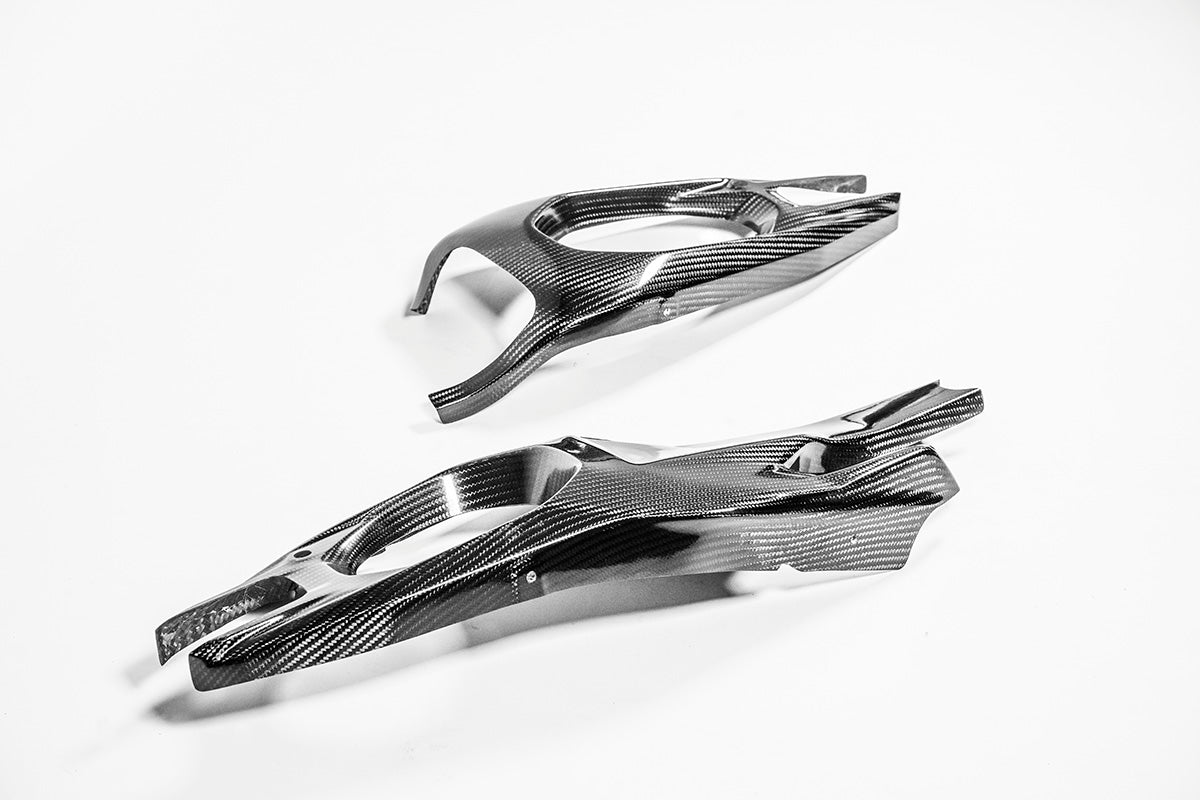 Schwingenabdeckungen 200g AP Carbon Line Ducati Panigale V4/S/R (25-26)