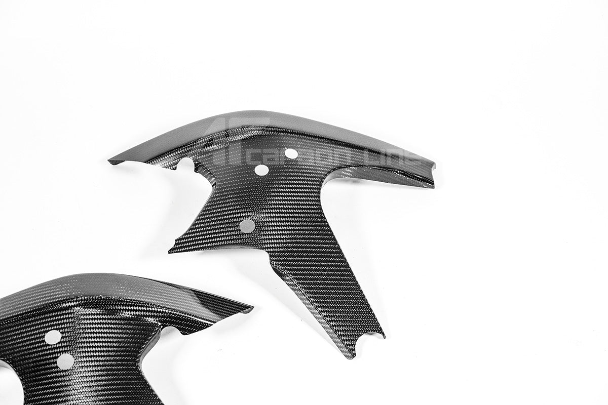 Rahmenabdeckungen 200g AP Carbon Line Ducati Panigale V4/S/R (25-26)