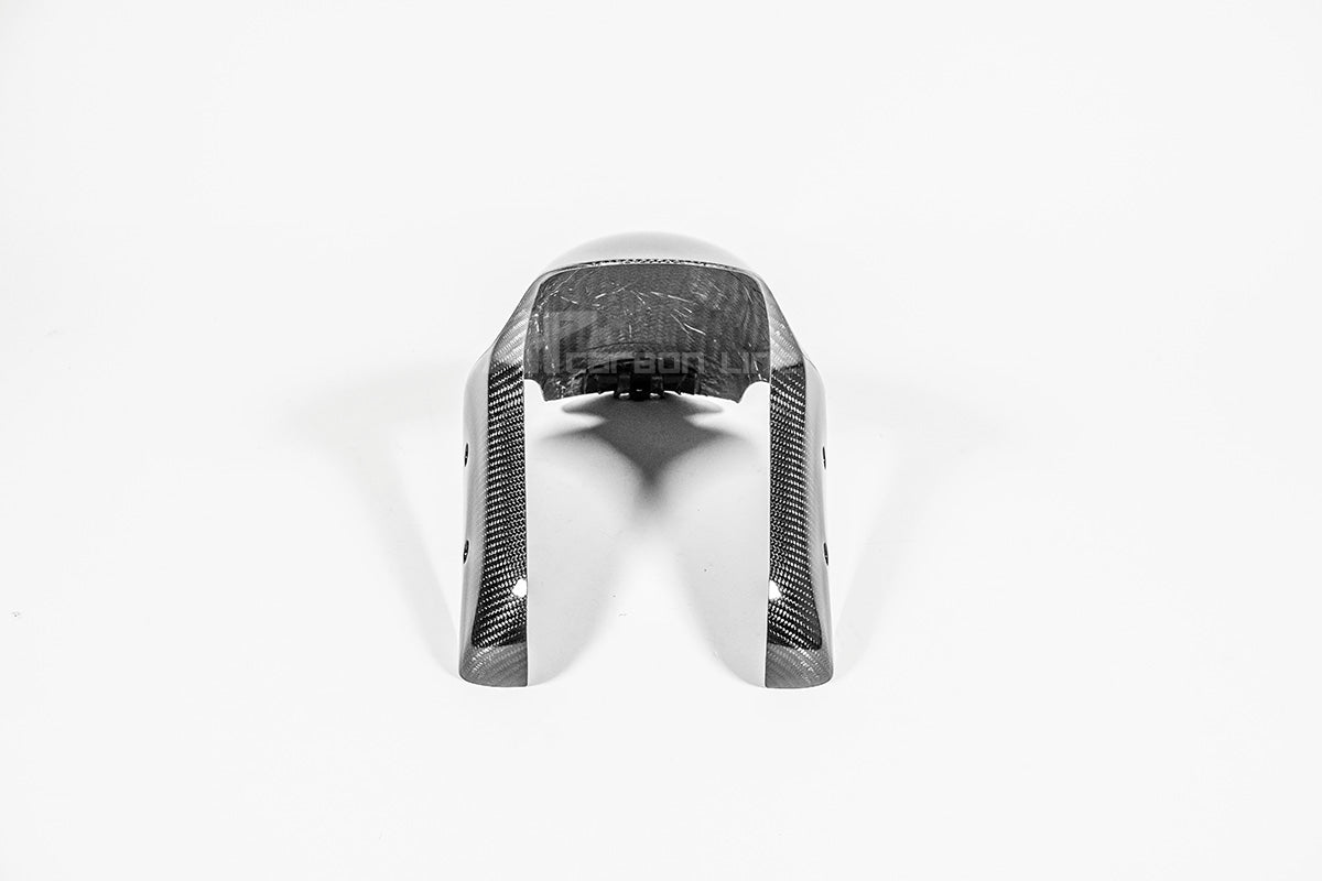 Vorderer Kotflügel 200g AP Carbon Line Ducati Panigale V4/S/R (25-26)