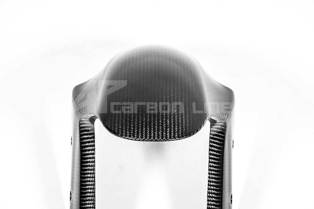 Vorderer Kotflügel 200g AP Carbon Line Ducati Panigale V4/S/R (25-26)