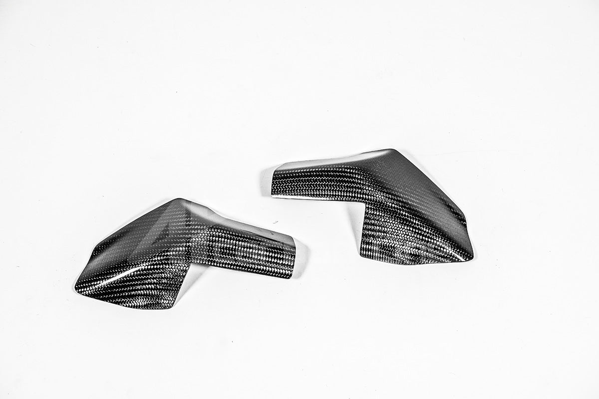 Tankschutz Protektoren 200g AP Carbon Line Ducati Panigale V4/S (25-26)