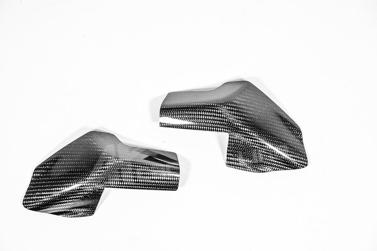 Tankschutz Protektoren 200g AP Carbon Line Ducati Panigale V4/S (25-26)