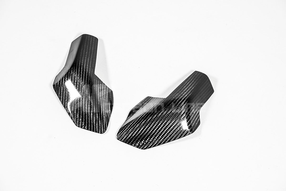 Tankschutz Protektoren 200g AP Carbon Line Ducati Panigale V4/S (25-26)