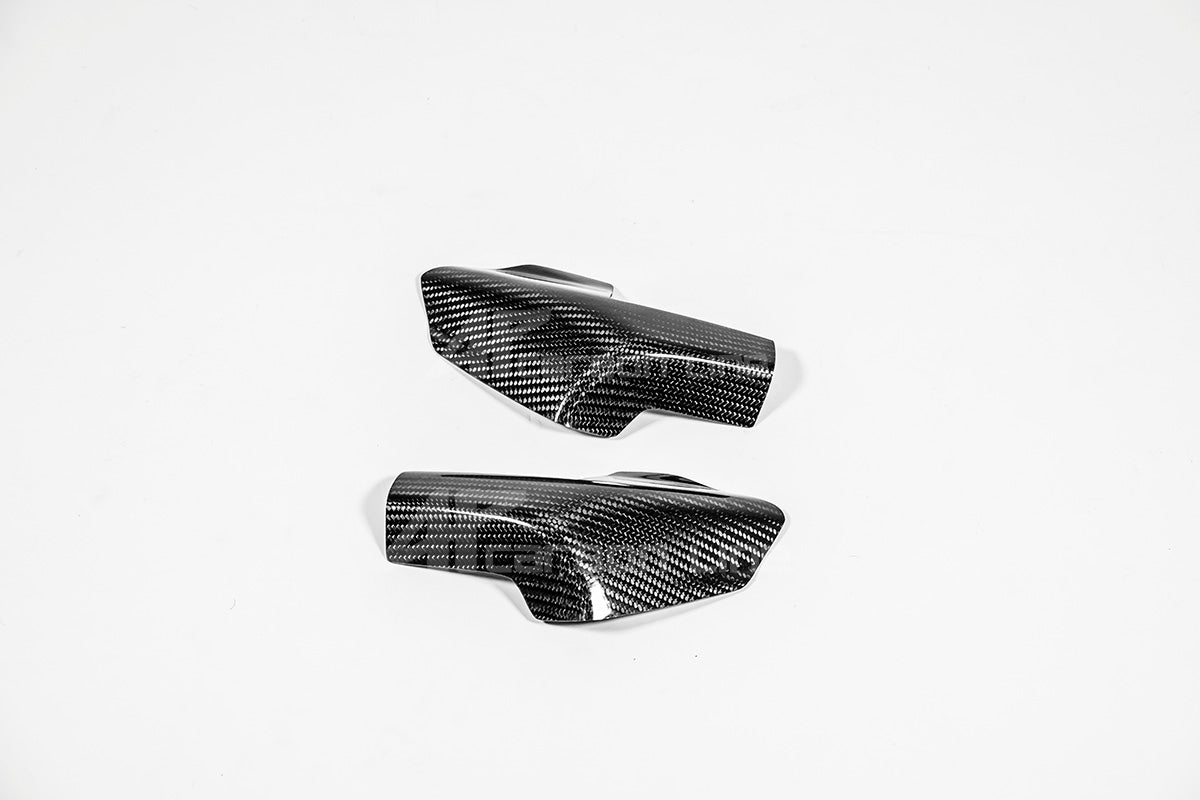 Tankschutz Protektoren 200g AP Carbon Line Ducati Panigale V4/S (25-26)