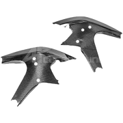 Rahmenabdeckungen 200g AP Carbon Line Ducati Panigale V4/S/R (25-26)