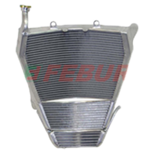 Racing Kit-Kühler Febur BMW S1000RR K46 (09-18) FE1258S