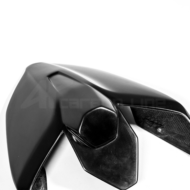 Heckverkleidung Lavatex AP Carbon Line Ducati Panigale V4/S (25-26)