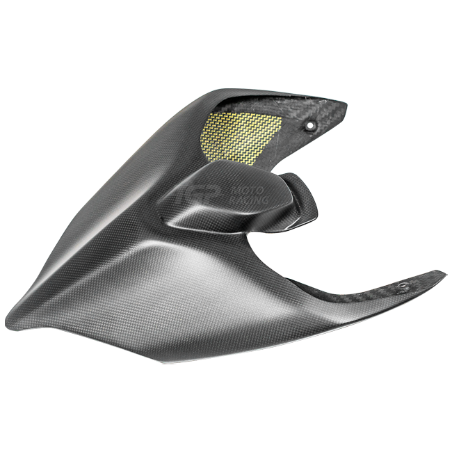 Heckverkleidung Carbon PlasticBike Ducati Panigale V2 955 (20-24)