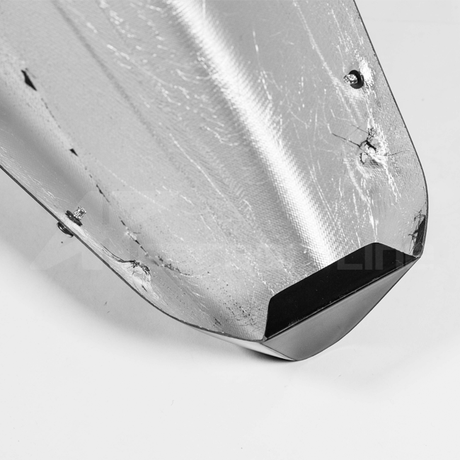 Bugspoiler Lavatex AP Carbon Line Ducati Panigale V4/S (25-26)