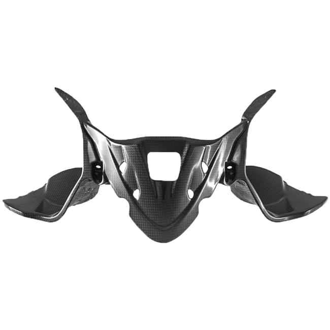 Instrumentenabdeckung Carbon Fullsix Ducati Panigale 959 (16-19)