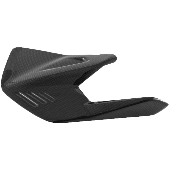 Schwingenarm-Einsatz Carbon Fullsix Ducati Panigale V4/S (2025)