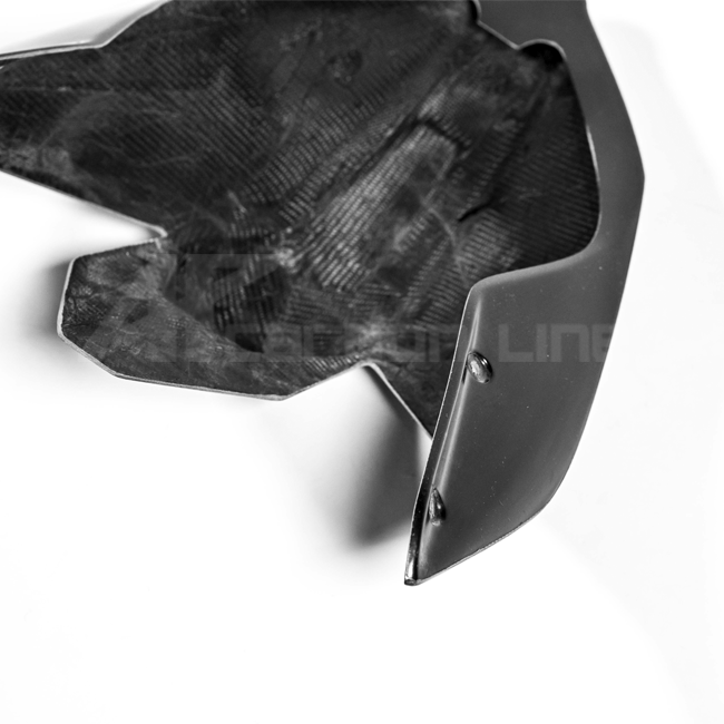 Heckverkleidung Lavatex AP Carbon Line Ducati Panigale V4/S (25-26)