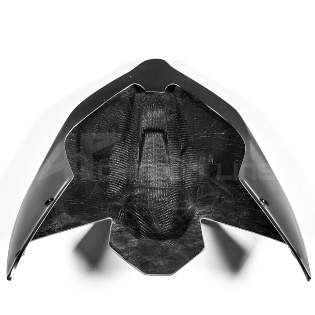 Heckverkleidung Lavatex AP Carbon Line Ducati Panigale V4/S/R (25-26)