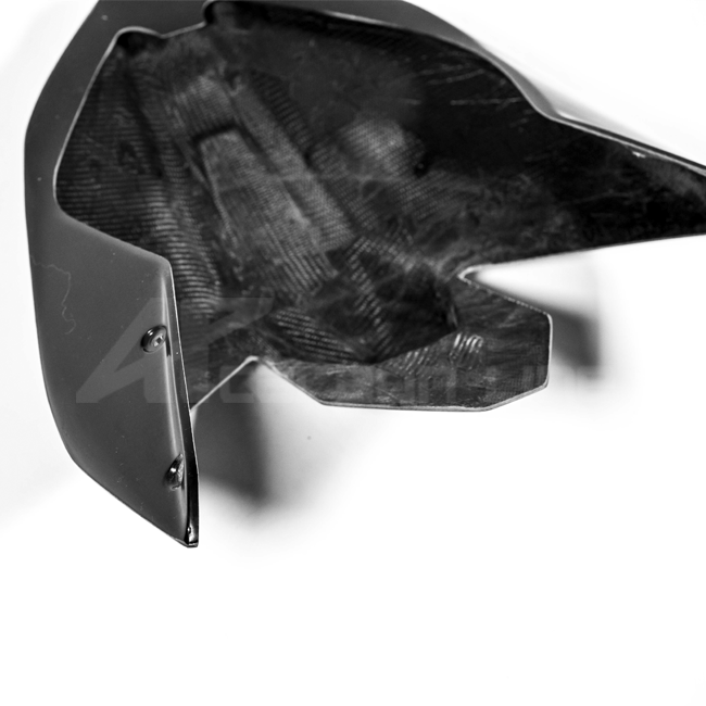 Heckverkleidung Lavatex AP Carbon Line Ducati Panigale V4/S/R (25-26)