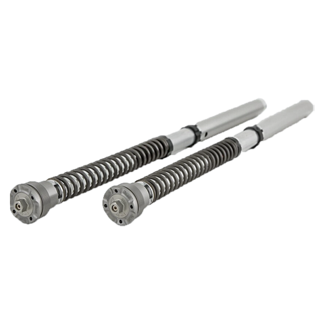 Öhlins NIX 30 Cartridge Kit FGK 224 Ducati Panigale 1199 (12-14)