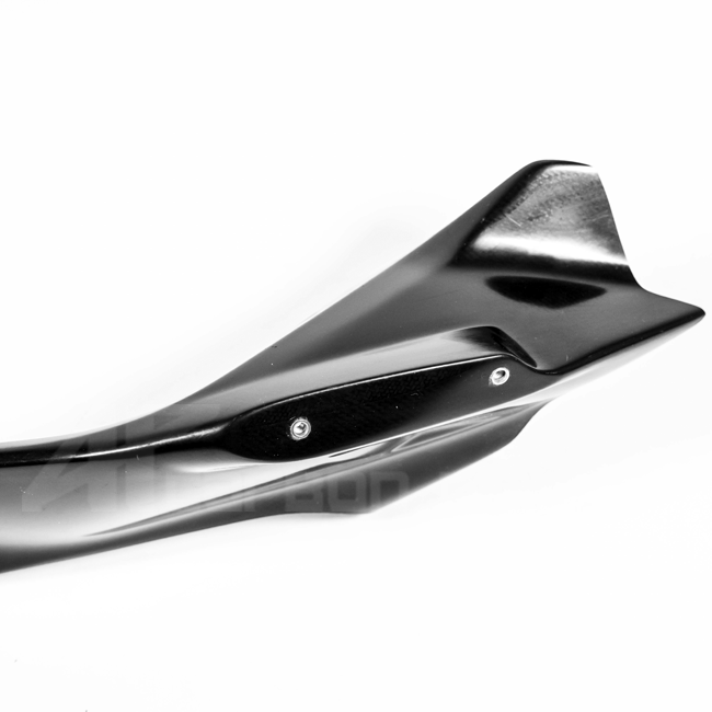 Heckverkleidung links Lavatex AP Carbon Line Ducati Panigale V4/S/R (25-26)