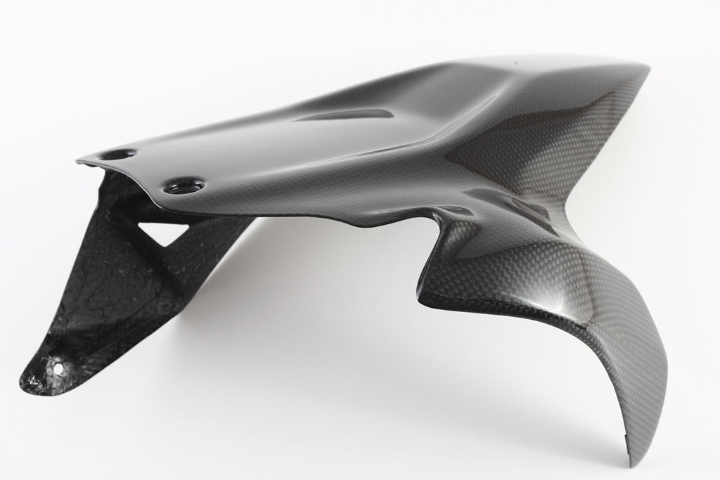 Hinterer Kotflügel Carbon Fullsix Ducati Panigale 1199/R/S (12-17)
