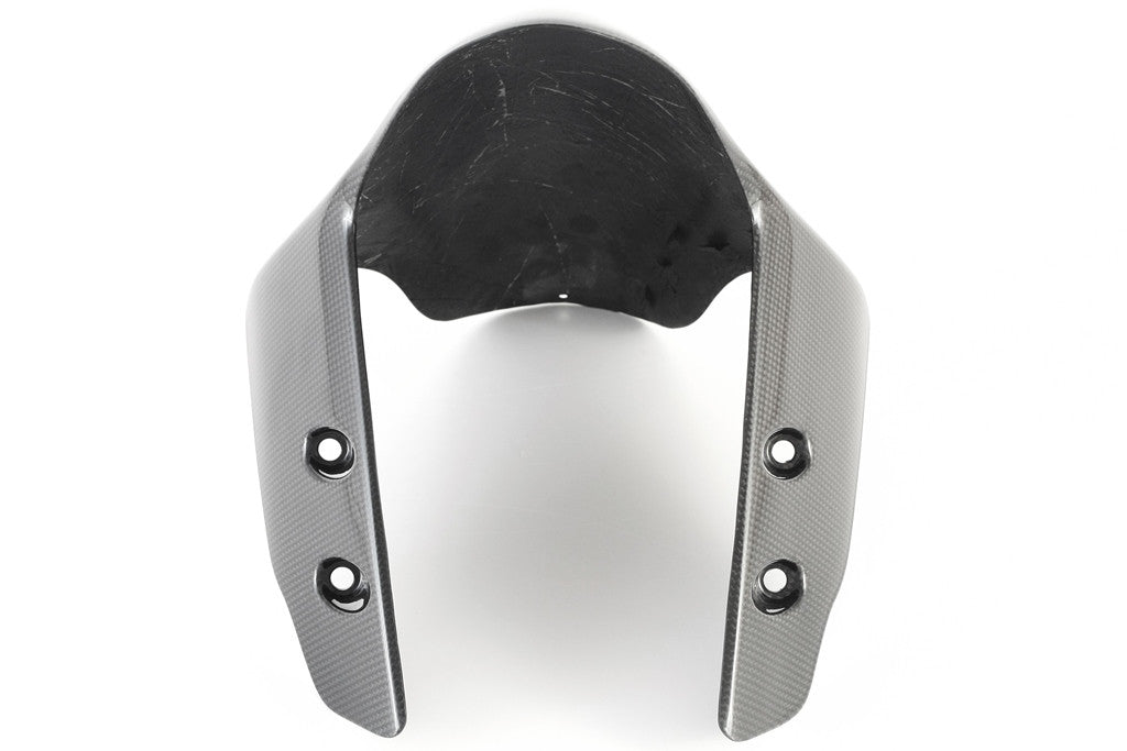 Vorderer Kotflügel Carbon Fullsix Ducati Panigale 959 (16-19)