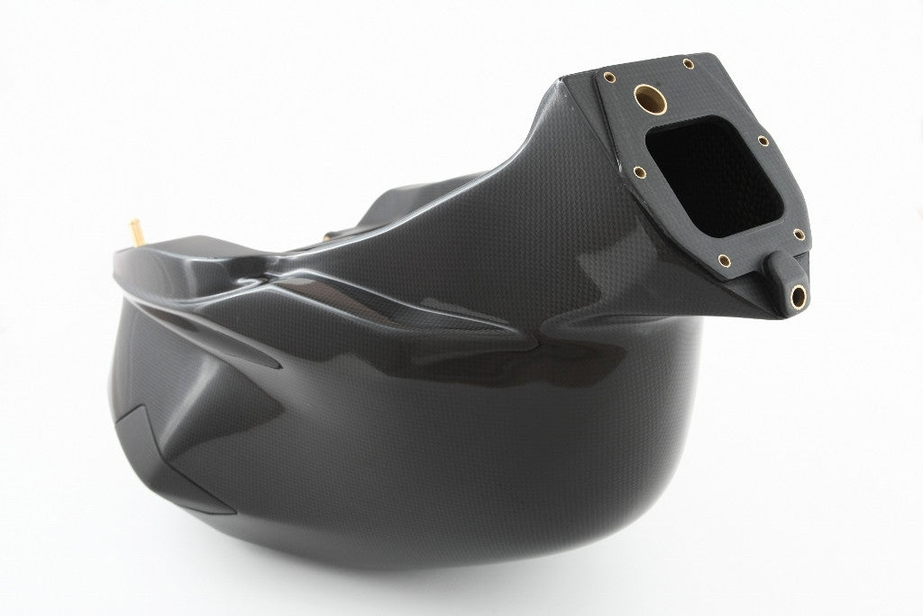 Carbon Kraftstofftank 25l "EWC" Fullsix Ducati Panigale 1299/S (15-18)