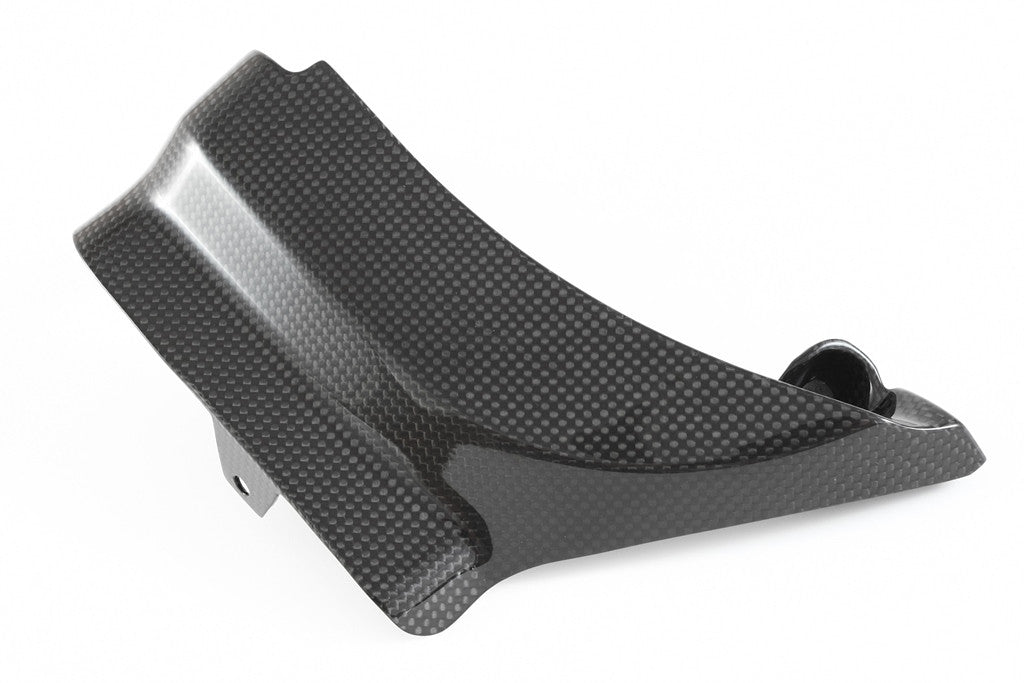 ABS Abdeckung Carbon Fullsix Ducati Panigale 899 (13-16)