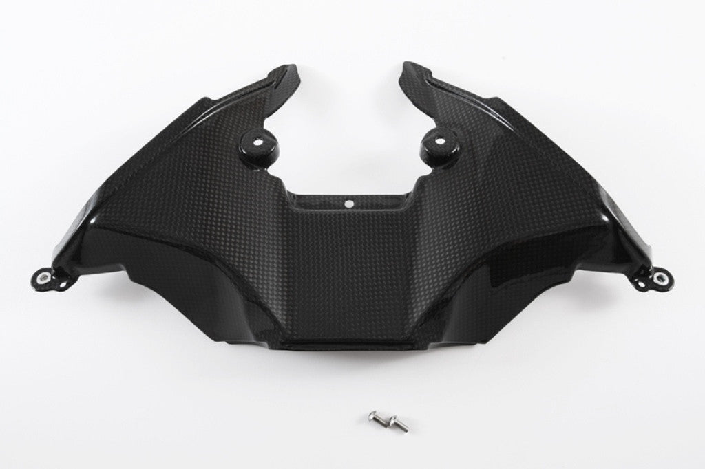 Lufteinlass Unterteil "OEM" Carbon Fullsix Ducati Panigale 1199/R/S (12-17)
