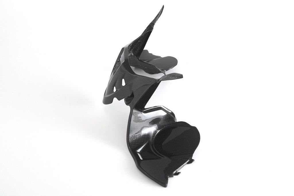 Instrumentenabdeckung Carbon Fullsix Ducati Panigale 1299/S (15-18)