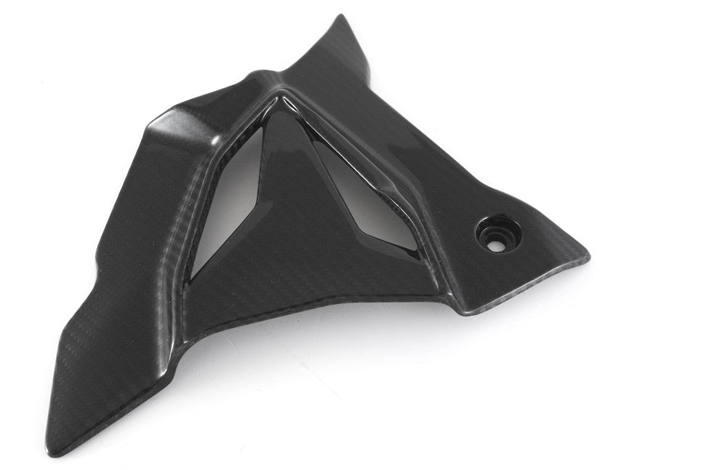 Ritzelabdeckung Carbon Fullsix BMW S1000RR K67 (19-26)