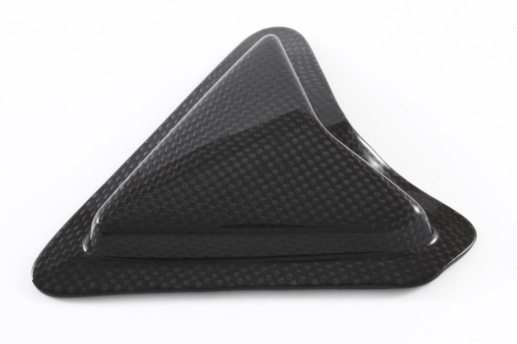 Slider Schwingenschutz Carbon Fullsix Ducati Panigale V2 955 (20-24)