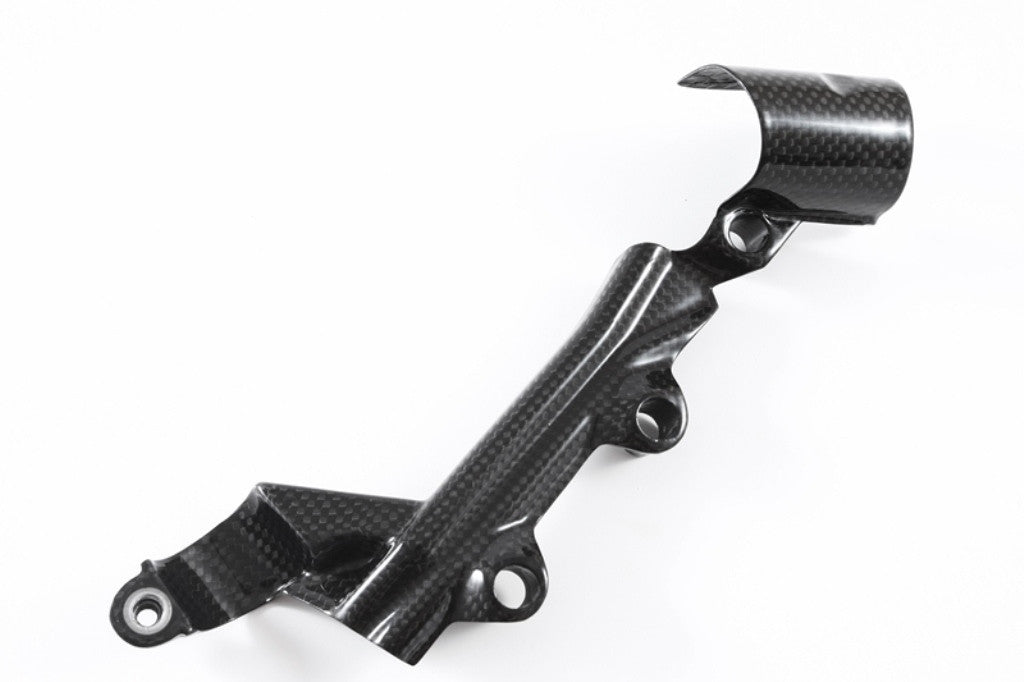 Bremszylinder Hinterrad Abdeckung Carbon Fullsix Ducati Panigale 899 (13-16)