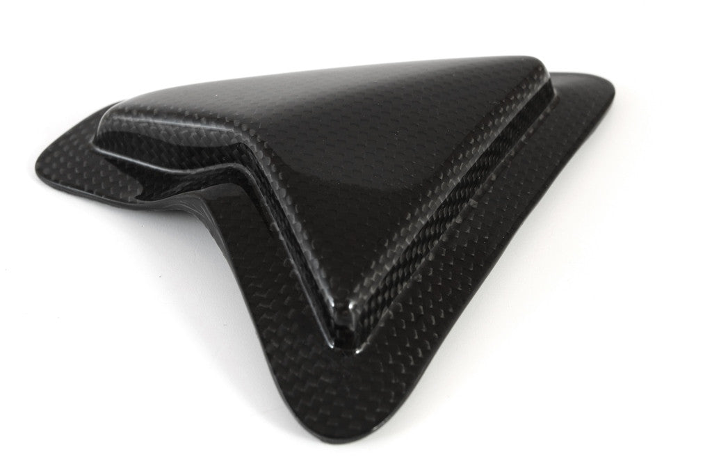 Slider Schwingenschutz Carbon Fullsix Ducati Panigale V2 955 (20-24)
