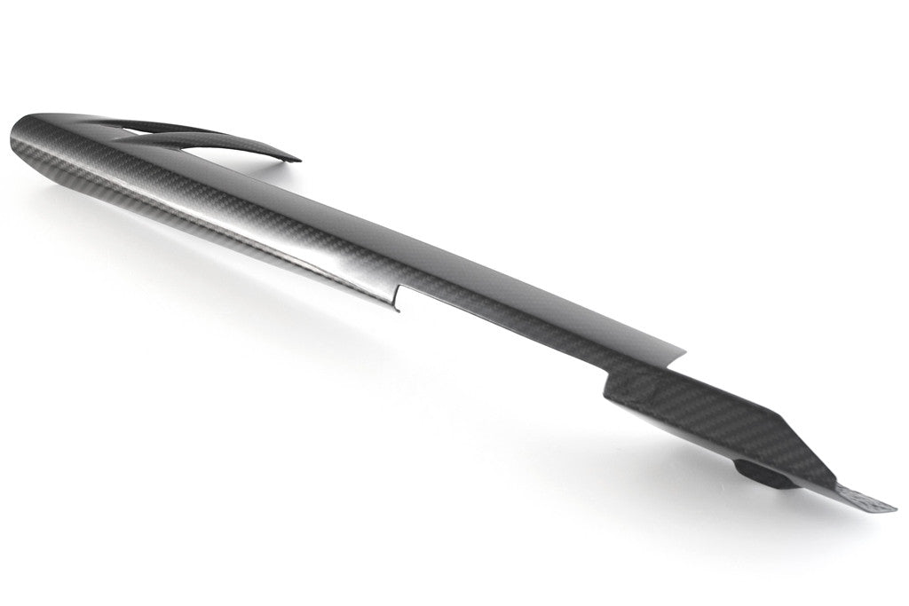 Kettenschutz "Short" Carbon Fullsix BMW S1000RR K46 (09-18)