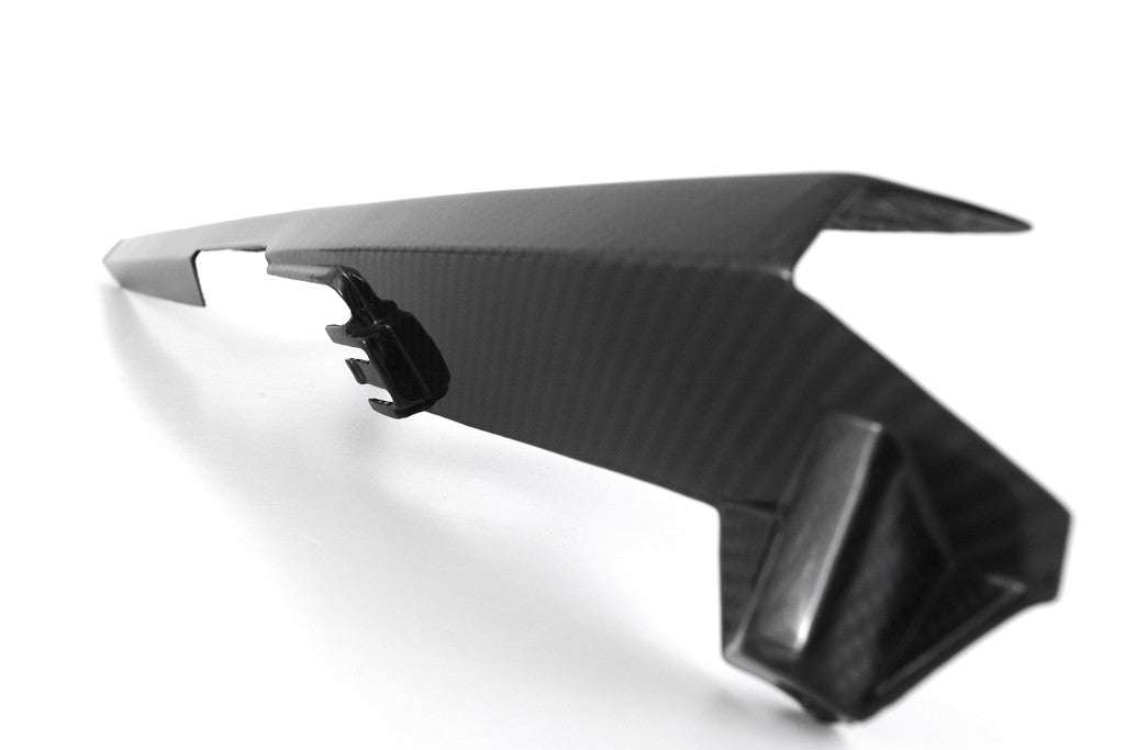 Kettenschutz "OEM" Carbon Fullsix BMW S1000RR K67 (19-26)